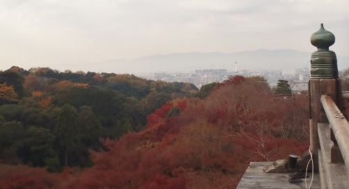 舞台からの景色